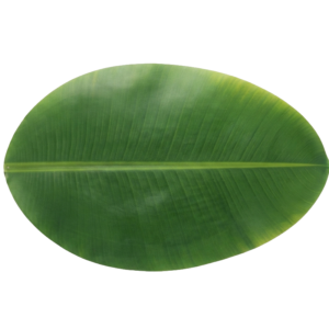 Banana leaf table mats
